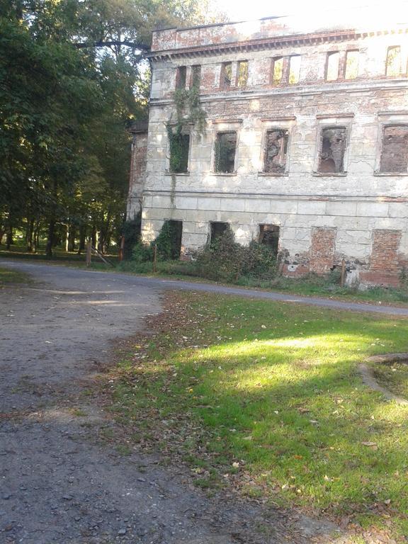 Hotel Gosciniec Sloneczny à Drzonków Extérieur photo